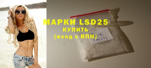 хмурый Абаза