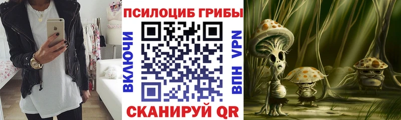 Псилоцибиновые грибы GOLDEN TEACHER это Telegram Владикавказ