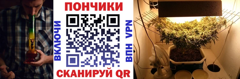 Бошки марихуана VHQ  Владикавказ 